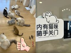 -有喵·猫咖·狗咖·30几只猫10只小狗(岗厦店)