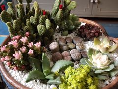 -三圣花乡旅游区