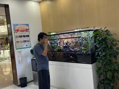 -神奇科学家STEAM科学实验科创赛事机器人编程逻辑思维MadScience(长宁来福士校区)