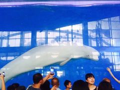 -泉城欧乐堡海洋极地世界