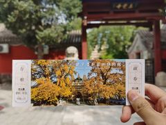 -北京石刻艺术博物馆(五塔寺)