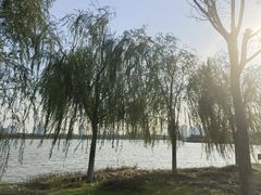 -水西公园