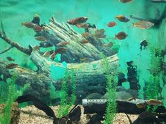 -常州海昌海洋探索馆