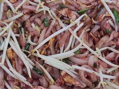 -金砂阿洲鱼册店