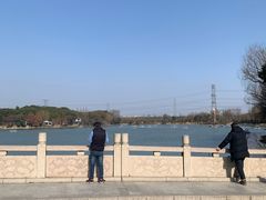 -昆山城市生态森林公园