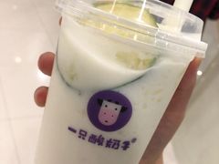 -一只酸奶牛(八一路店)