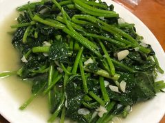 红薯苗-温州一家人美食(西木头市店)