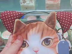 -猫咪博物馆(顶澳仔猫街店)