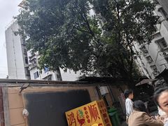 -鸿顺老铁锅美蛙鱼府(解放碑店)