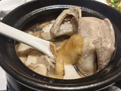 -琬苑鸽庄·川粤融合菜(解放碑总店)