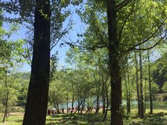 -玉渡山风景区-售票处