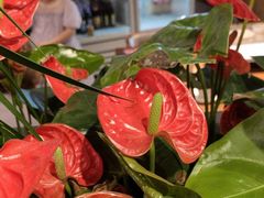 -管氏翅吧(地安门店)