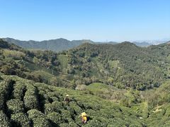 -西湖风景区十里琅珰-五云山