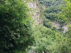 -焦作青龙峡风景名胜区