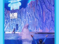 -珠海长隆海洋王国