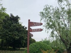 -上海鲜花港