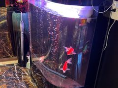 -华夏良子·足道·SPA·艾灸(苏州桥店)