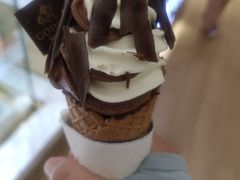 香草巧克力双拼-GODIVA(万象城店)