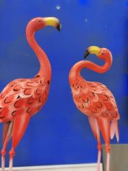 -七十二变梦工场(天兴·罗斯福国际大厦店)