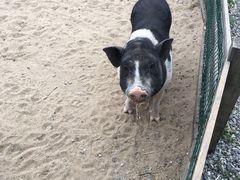 -泰康拜博口腔(凯迪大厦店)