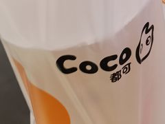 -CoCo都可(友谊阳光店)