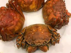 -王宝和酒家(黄浦店)