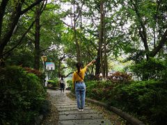 -桂林两江四湖景区