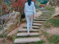 -广州市帽峰山景区