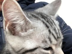 -美联众合动物医院·24h京西诊疗中心