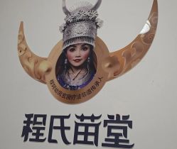 -程氏苗堂苗技养生