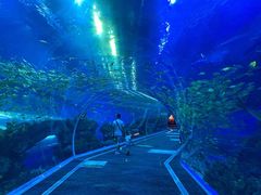 -成都浩海立方海洋公园