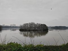 -海珠湖公园