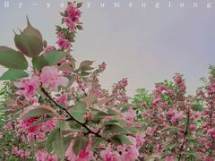 -江苏三台山国家森林公园