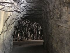 -太鲁阁公园