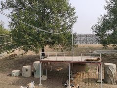 -宿豫区运河湾森林动物园