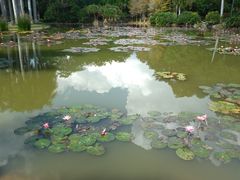-中国科学院西双版纳热带植物园