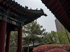 -碑林公园