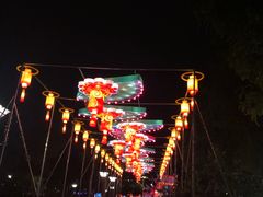 -眉山湿地公园(东坡区)