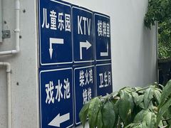 -桃源山庄·水蜜桃采摘·柴火鸡·烧烤团建(龙泉山店)