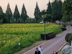 -蜀绣公园