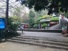 -成都市活水公园