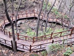 -大岭沟猕猴桃谷风景区