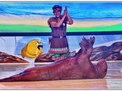 -三亚海昌梦幻海洋不夜城