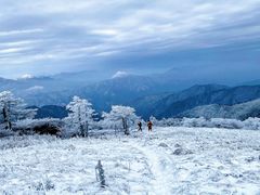 -秦岭风景区