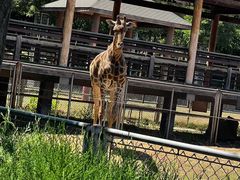 -石家庄市动物园