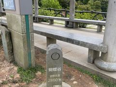 -梧桐山风景名胜区