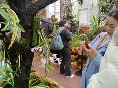 -国家植物园南园