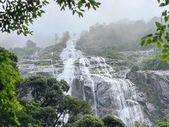 -大鄣山卧龙谷景区