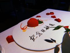 -梧桐