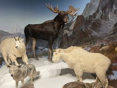 -陕西自然博物馆